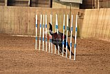 wedstrijd agility friends zondag