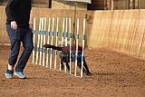 wedstrijd agility friends zondag