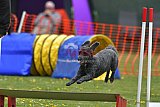 wedstrijd apeldoorn 18-04-2026