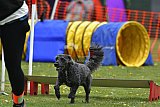 wedstrijd apeldoorn 18-04-2026