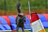 wedstrijd apeldoorn 18-04-2026