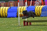 wedstrijd apeldoorn 18-04-2026