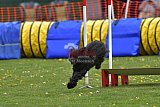 wedstrijd apeldoorn 18-04-2026
