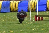 wedstrijd apeldoorn 18-04-2026