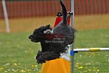 wedstrijd apeldoorn 18-04-2026