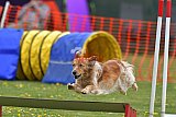 wedstrijd apeldoorn 18-04-2026