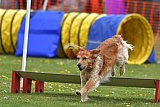 wedstrijd apeldoorn 18-04-2026