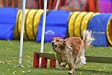 wedstrijd apeldoorn 18-04-2026