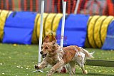 wedstrijd apeldoorn 18-04-2026