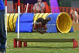 wedstrijd apeldoorn 18-04-2026