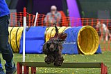 wedstrijd apeldoorn 18-04-2026