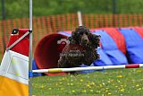 wedstrijd apeldoorn 18-04-2026