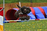 wedstrijd apeldoorn 18-04-2026