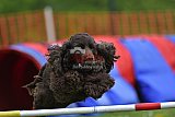 wedstrijd apeldoorn 18-04-2026