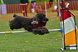 wedstrijd apeldoorn 18-04-2026