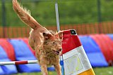 wedstrijd apeldoorn 18-04-2026