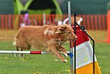 wedstrijd apeldoorn 18-04-2026