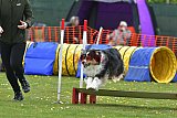 wedstrijd apeldoorn 18-04-2026