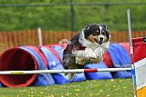 wedstrijd apeldoorn 18-04-2026