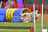 wedstrijd apeldoorn 18-04-2026