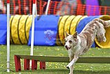 wedstrijd apeldoorn 18-04-2026