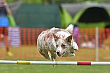 wedstrijd apeldoorn 18-04-2026