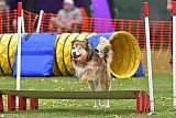wedstrijd apeldoorn 18-04-2026