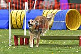 wedstrijd apeldoorn 18-04-2026