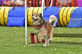 wedstrijd apeldoorn 18-04-2026