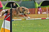 wedstrijd apeldoorn 18-04-2026