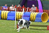 wedstrijd apeldoorn 18-04-2026