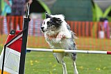 wedstrijd apeldoorn 18-04-2026