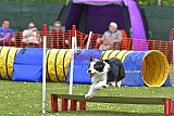 wedstrijd apeldoorn 18-04-2026