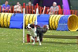 wedstrijd apeldoorn 18-04-2026