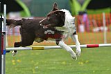 wedstrijd apeldoorn 18-04-2026