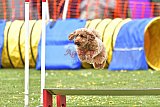 wedstrijd apeldoorn 18-04-2026