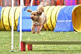 wedstrijd apeldoorn 18-04-2026