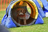 wedstrijd apeldoorn 18-04-2026