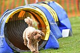 wedstrijd apeldoorn 18-04-2026