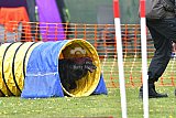 wedstrijd apeldoorn 18-04-2026