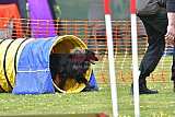 wedstrijd apeldoorn 18-04-2026