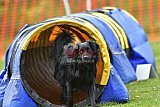 wedstrijd apeldoorn 18-04-2026
