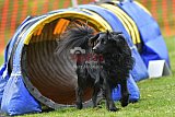 wedstrijd apeldoorn 18-04-2026
