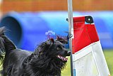 wedstrijd apeldoorn 18-04-2026