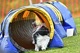 wedstrijd apeldoorn 18-04-2026