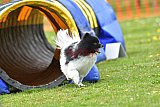wedstrijd apeldoorn 18-04-2026