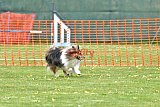 wedstrijd apeldoorn 18-04-2026