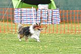 wedstrijd apeldoorn 18-04-2026
