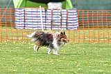 wedstrijd apeldoorn 18-04-2026