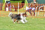 wedstrijd apeldoorn 18-04-2026